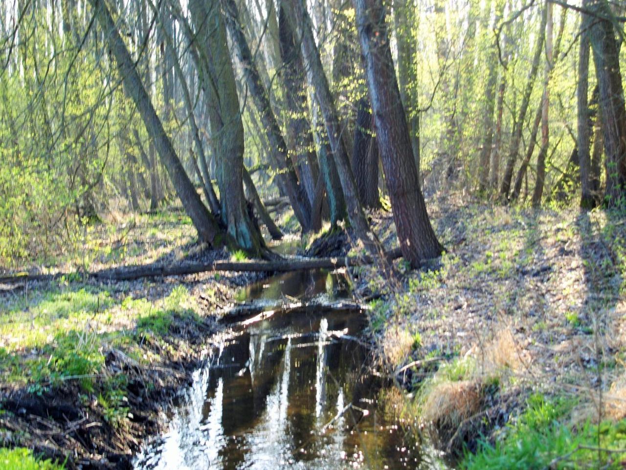 Appartamento Altes Forsthaus Garzau Esterno foto