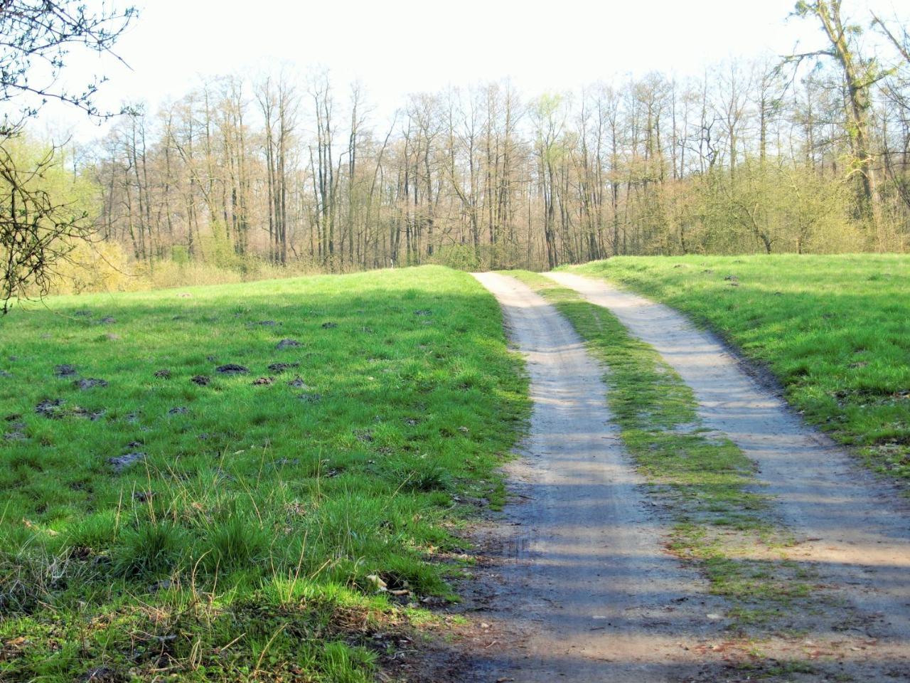 Appartamento Altes Forsthaus Garzau Esterno foto