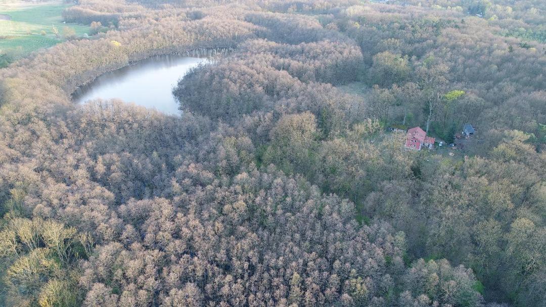 Appartamento Altes Forsthaus Garzau Esterno foto